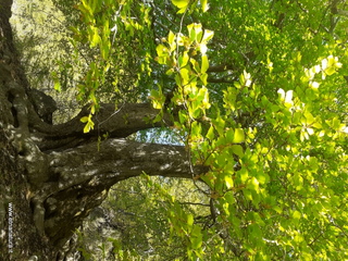 qua Rocca15-05-2022 10-11-53